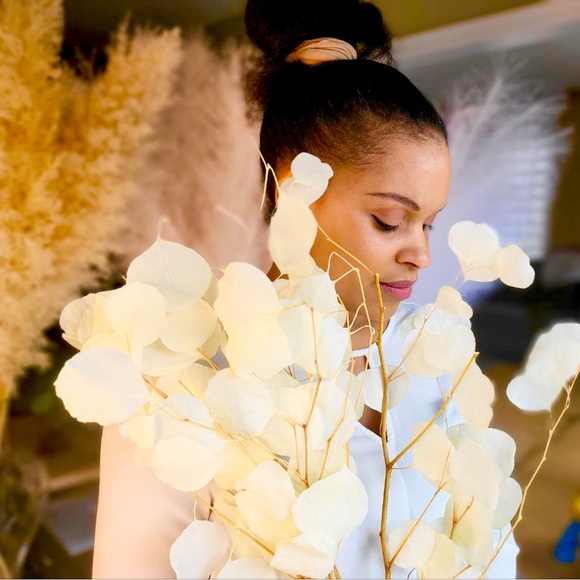 Preserved Dried Eucalyptus Bunch - Picture 1 of 5